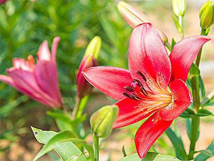 C7娱乐平台产品展示一