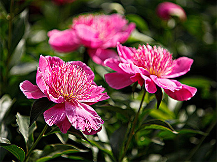 C7娱乐平台产品展示三