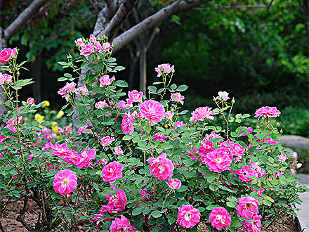 C7娱乐平台产品展示五