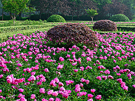 C7娱乐平台产品展示四